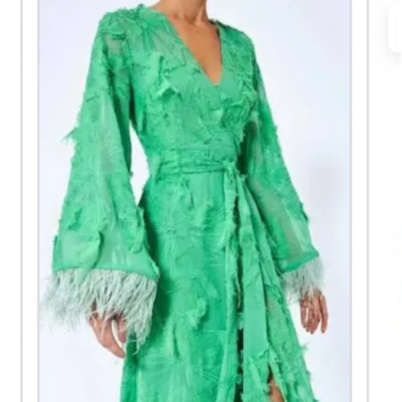 ALEXIS DRESS - Picture 3 of 4